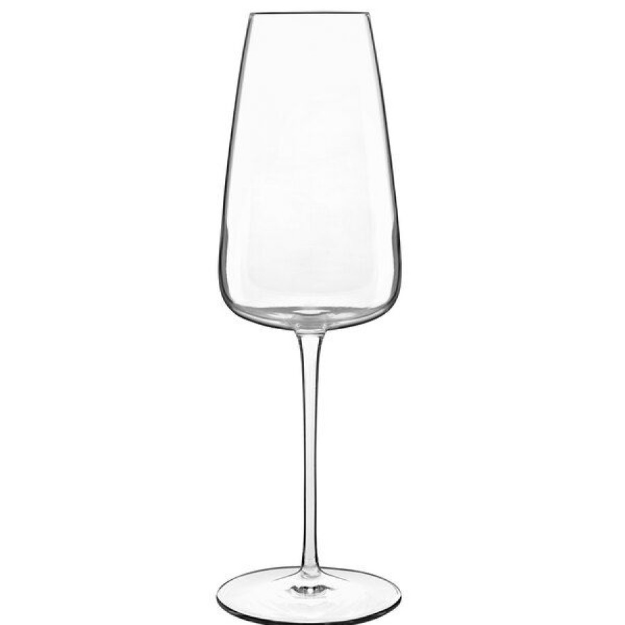 Wine Glasses * Luigi Bormioli 12735/01 I Meravigliosi 13.5 Oz. Champagne Flute 24/Case